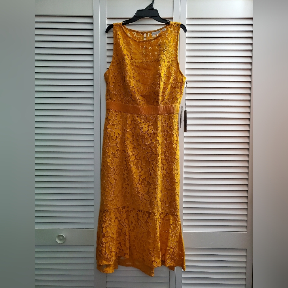 New York & Co Eva Mendes Lace Dress NWT